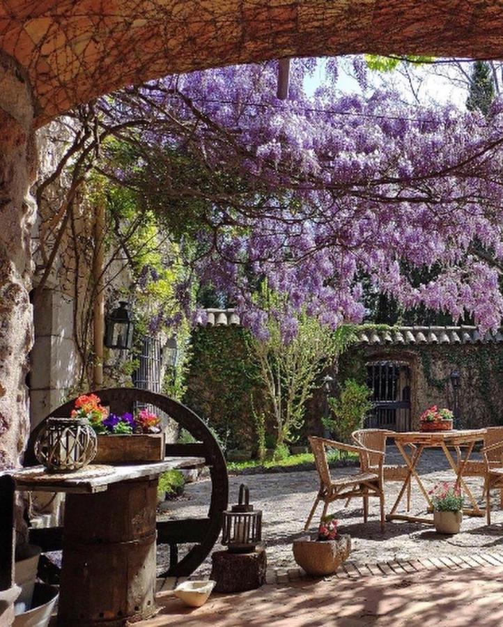 Apartament Masia Mimosa Darnius