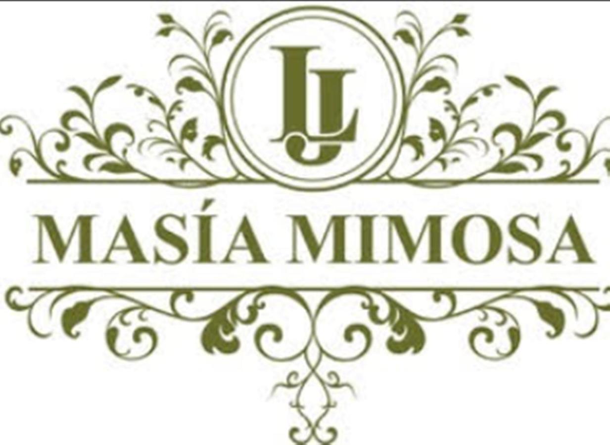 Apartment Masia Mimosa