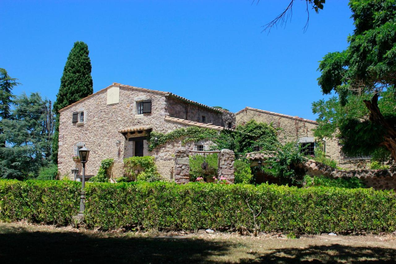 Masia Mimosa *