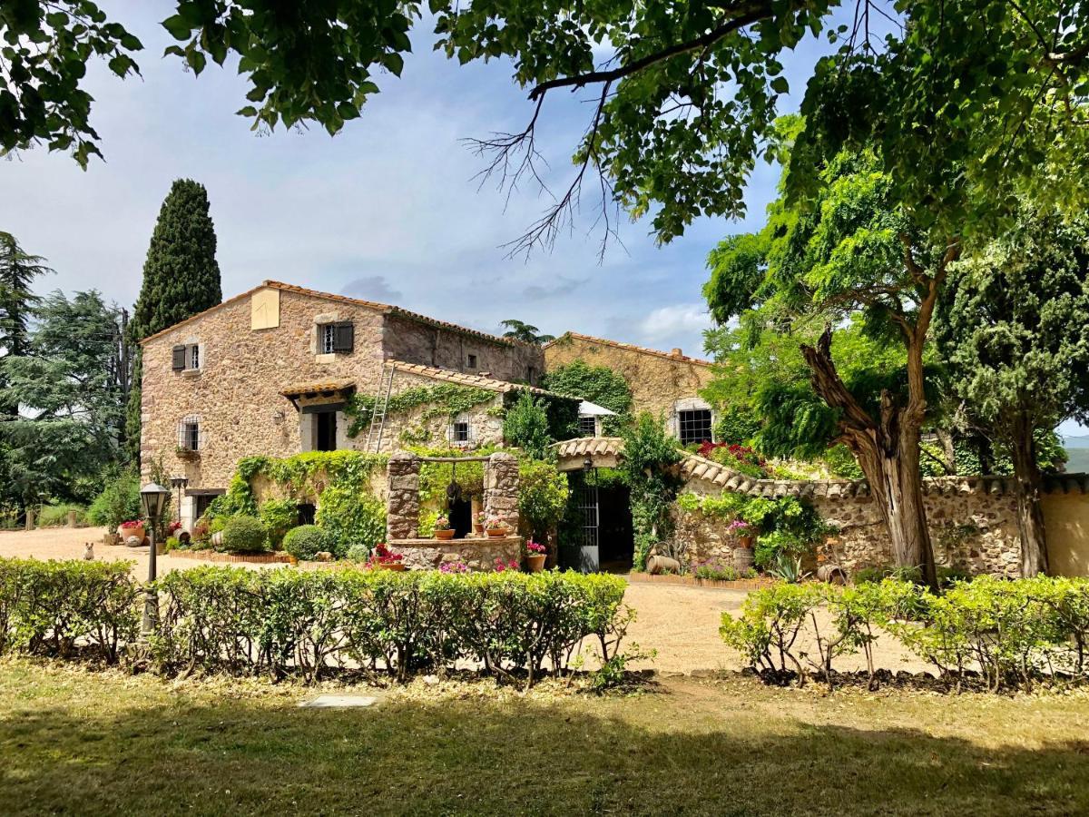 Masia Mimosa