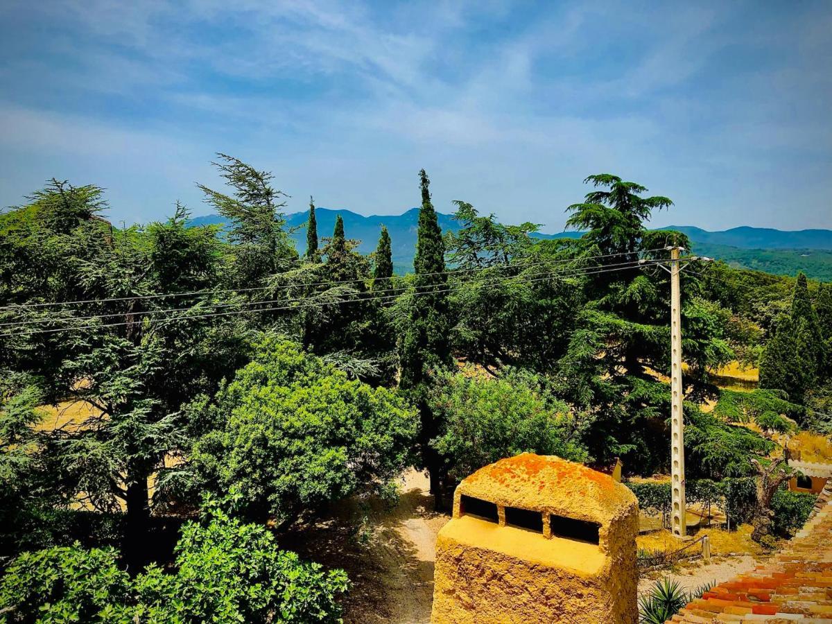 Apartment Masia Mimosa Darnius