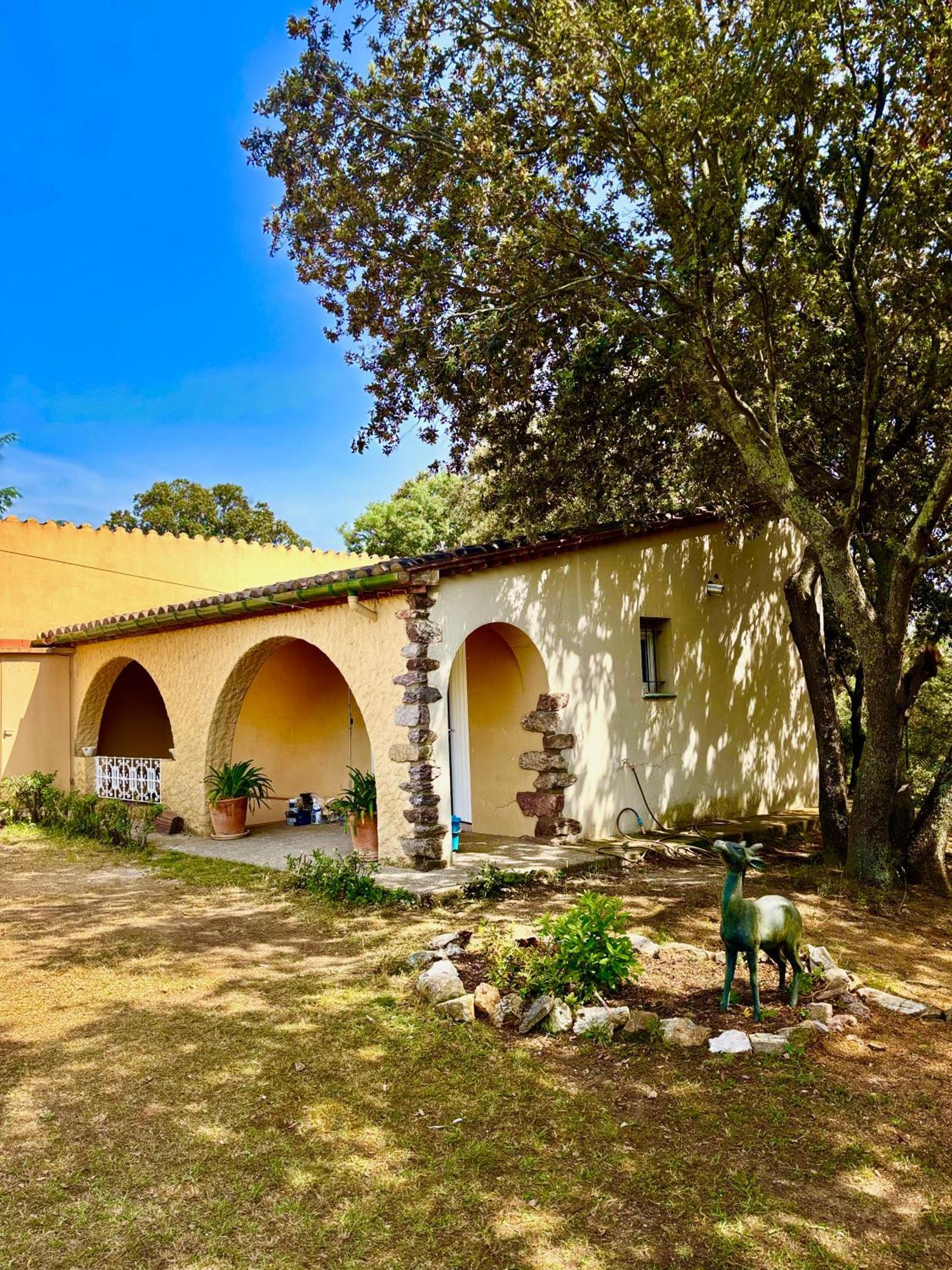 Masia Mimosa Apartment